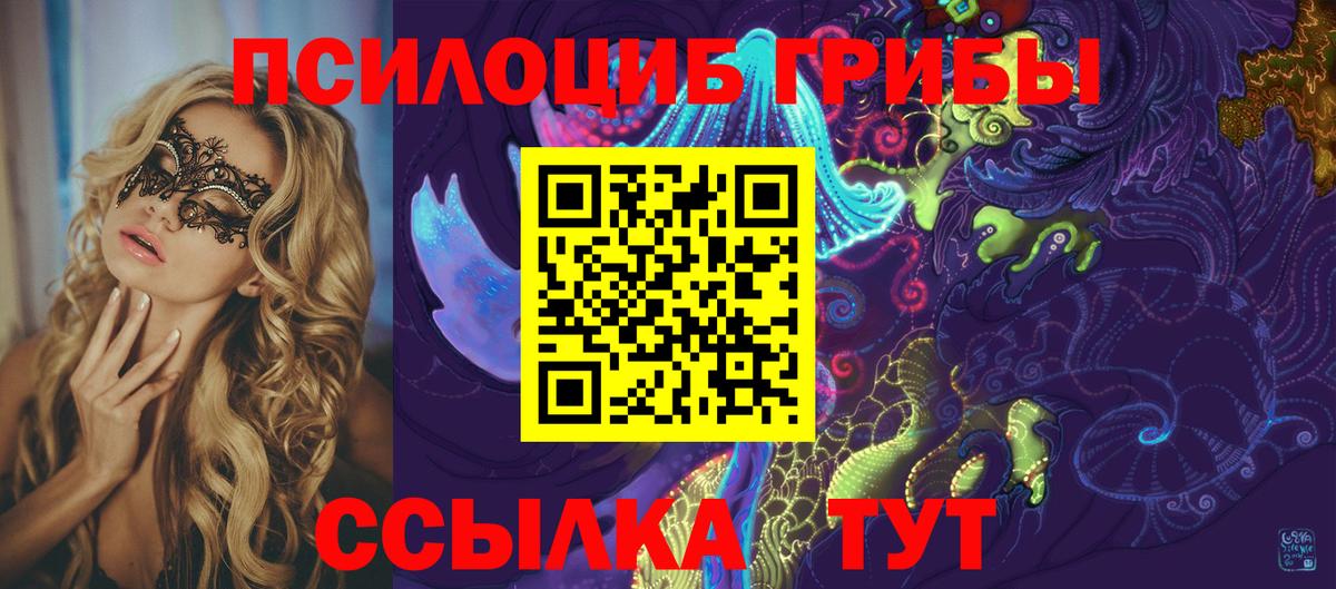 Вичуга  Галлюциногенные грибы Magic Shrooms  Вход с VPN 