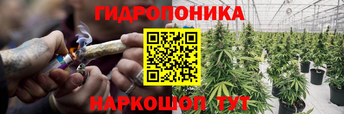 МАРИХУАНА семена Вичуга